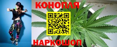 прущие грибы Тула