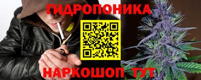 прущие грибы Тула