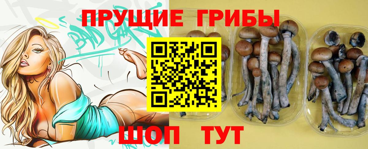 Галлюциногенные грибы ЛСД Алексин